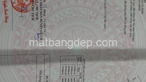Bán đất vườn Đường 1, Xã Phú Hòa Đông, Huyện Củ Chi. DT: 25m x 40m, diện tích: 1000m2 giá: 2.2 tỷ