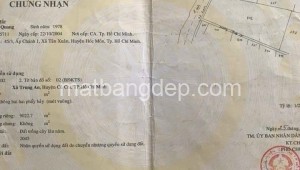 Bán đất vườn Đường 1, Xã Trung An, Huyện Củ Chi. DT: 90m x 100m, diện tích: 9000m2