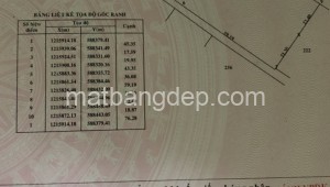 Bán đất vườn Đường 1, Xã Tân Thạnh Tây, Huyện Củ Chi. DT: 40m x 140m, diện tích: 5654m2 giá: 15.3 tỷ, 2.71 triệu/m2, 382.5 triệu/mét ngang