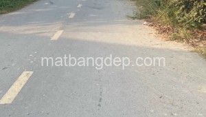 Bán đất vườn Đường Trung An, Xã Trung An, Huyện Củ Chi. DT: 5m x 21m, diện tích: 105m2 giá: 1.3 tỷ
