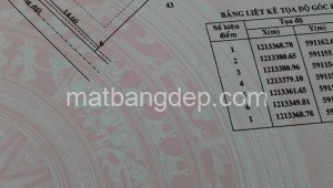 Bán đất thổ Đường 1, Xã Tân Thạnh Đông, Huyện Củ Chi. DT: 15m x 30m, diện tích: 450m2 giá: 8.0 tỷ, 17.78 triệu/m2, 533.33 triệu/mét ngang