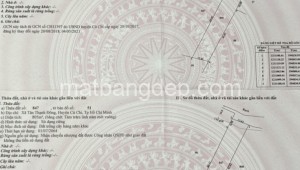 Bán đất vườn 89,847,848_51 Đường 1, Xã Tân Thạnh Đông, Huyện Củ Chi. DT: 30m x 50m, diện tích: 1500m2 giá: 5.0 tỷ, 3.33 triệu/m2, 166.67 triệu/mét ngang
