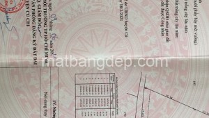Bán đất vườn Đường 1, Xã Tân Thạnh Tây, Huyện Củ Chi. DT: 50m x 30m, diện tích: 1500m2 giá: 2.1 tỷ