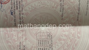 Bán đất vườn Đường Hồ Văn Tắng, Xã Tân Thạnh Đông, Huyện Củ Chi. DT: 10m x 46m, diện tích: 460m2 giá: 5.2 tỷ, 11.3 triệu/m2, 520 triệu/mét ngang