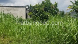 Bán đất vườn Đường 1, Xã Tân Phú Trung, Huyện Củ Chi. DT: 5m x 20m, diện tích: 100m2 giá: 850.0 triệu, 8.5 triệu/m2, 170 triệu/mét ngang