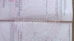 Bán đất thổ Đường 1, Xã Tân Thông Hội, Huyện Củ Chi. DT: 5m x 45m, diện tích: 225m2 giá: 3.5 tỷ, 15.56 triệu/m2, 700 triệu/mét ngang