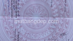 Bán đất vườn Đường 1, Xã Tân Thông Hội, Huyện Củ Chi. DT: 5m x 20m, diện tích: 100m2 giá: 1.250 tỷ, 12.5 triệu/m2, 250 triệu/mét ngang