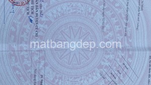 Bán đất vườn Đường 1, Xã Tân Phú Trung, Huyện Củ Chi. DT: 12m x 82m, diện tích: 984m2 giá: 4.5 tỷ, 4.52 triệu/m2, 370.83 triệu/mét ngang