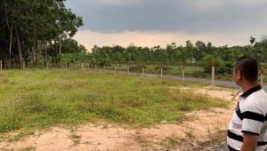 Bán đất vườn Đường 1, Xã An Nhơn Tây, Huyện Củ Chi. DT: 41m x 17m, diện tích: 697m2 giá: 1.950 tỷ, 2.8 triệu/m2, 47.56 triệu/mét ngang