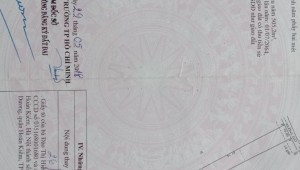 Bán đất thổ Đường 1, Xã Phạm Văn Cội, Huyện Củ Chi. DT: 13m x 100m, diện tích: 1300m2 giá: 8.5 tỷ, 6.54 triệu/m2, 653.85 triệu/mét ngang