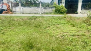 Bán đất thổ Xã Tân Thông Hội, Huyện Củ Chi. DT: 8m x 16m, diện tích: 139m2 giá: 3.0 tỷ