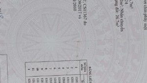 Bán đất thổ Xã Tân Phú Trung, Huyện Củ Chi. DT: 18m x 62m, diện tích: 1099m2 giá: 12.1 tỷ