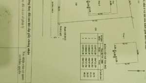 Bán đất thổ Xã Tân Phú Trung, Huyện Củ Chi. DT: 20m x 52m, diện tích: 1017m2 giá: 18.0 tỷ, 17.7 triệu/m2, 900 triệu/mét ngang