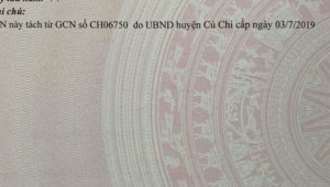 Bán đất vườn Xã An Nhơn Tây, Huyện Củ Chi. DT: 25m x 47m, diện tích: 1177m2 giá: 4.5 tỷ