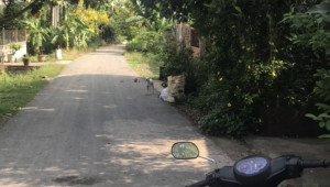 Bán đất thổ Xã Tân Phú Trung, Huyện Củ Chi. DT: 5m x 35m, diện tích: 166m2 giá: 1.6 tỷ, 9.64 triệu/m2, 320 triệu/mét ngang