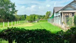 Bán đất thổ Xã Thái Mỹ, Huyện Củ Chi. DT: 12m x 43m, diện tích: 559m2 giá: 3.9 tỷ, 6.98 triệu/m2, 325 triệu/mét ngang