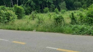 Bán đất thổ Xã An Nhơn Tây, Huyện Củ Chi. DT: 5m x 23m, diện tích: 125m2 giá: 2.1 tỷ, 16.8 triệu/m2, 420 triệu/mét ngang