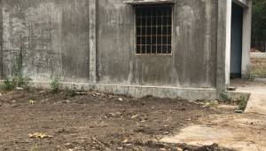 Bán đất thổ Đường 101, Xã Phú Hòa Đông, Huyện Củ Chi. DT: 55m x 70m, diện tích: 3439m2 giá: 12.0 tỷ, 3.49 triệu/m2, 218.18 triệu/mét ngang