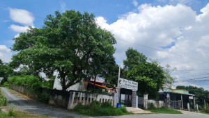 Bán đất thổ Đường Suối Lội, Xã Tân Thông Hội, Huyện Củ Chi. DT: 7m x 35m, diện tích: 240m2 giá: 7.0 tỷ, 29.17 triệu/m2, 1000 triệu/mét ngang