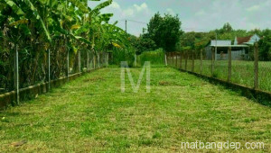 Bán đất thổ Xã Trung Lập Thượng, Huyện Củ Chi. DT: 7m x 30m, diện tích: 212m2 giá: 1.750 tỷ, 8.25 triệu/m2, 250 triệu/mét ngang