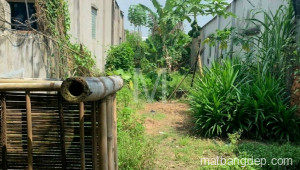 Bán đất thổ Xã Phước Thạnh, Huyện Củ Chi. DT: 5m x 24m, diện tích: 116m2 giá: 850.0 triệu, 7.33 triệu/m2, 170 triệu/mét ngang