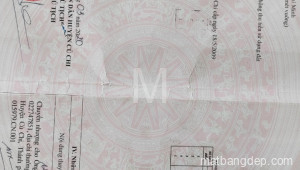 Bán đất thổ Xã Tân Phú Trung, Huyện Củ Chi. DT: 30m x 20m, diện tích: 600m2 giá: 4.0 tỷ, 6.67 triệu/m2, 133.33 triệu/mét ngang