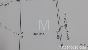 Bán đất vườn Xã Trung Lập Thượng, Huyện Củ Chi. DT: 27m x 60m, diện tích: 1890m2 giá: 4.5 tỷ, 2.38 triệu/m2, 166.67 triệu/mét ngang