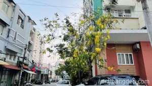 Bán nhà mặt hẻm 236/3 Đường Điện Biên Phủ, Phường 17, Quận Bình Thạnh.