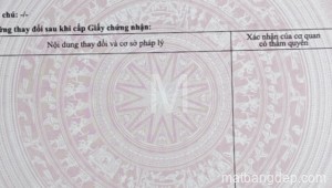 Bán nhà 1029/2B Tỉnh Lộ 10 Phường Tân Tạo Quận Bình Tân
