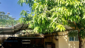 A 2511( Số Cũ A8.240A) Quốc Lộ 50 5749 1 64/68 90 200 Tỷ Bình Chánh Trên 100