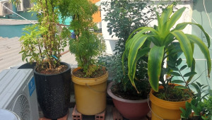 19/14 Tôn Thất Thuyết 24 2 2.6 9 3.2 tỷ Phường 18 Quận 4 3 đến 6
