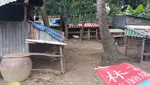 112 +114 Mai Bá Hương (Thửa 533 + 534 Tờ 38) 1300 C4 19.5 66 21 tỷ Lê Minh Xuân Bình Chánh 20 đến 50