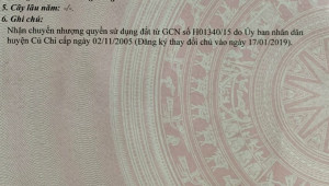 Thửa 113 tờ 36 1000 Đất 19 53 10 tỷ Tân Thông Hội Củ Chi
