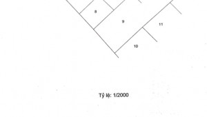 Thửa 8 + 9-1 Tờ 6 1916 Đất 30 64 10.5 tỷ Lý Nhơn Cần Giờ 10 đến 20