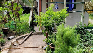 Thửa 272 Tờ 49, 3047/3550 Đất 29 125 7 tỷ Trung Lập Thượng Củ Chi 6 Đến 10