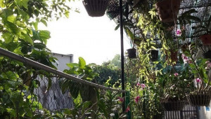 /Thửa 843 tờ 60 164 C4 6 27.5 2.95 tỷ Tân Thạnh Đông Củ Chi nhỏ 3