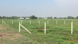 Thửa 1026 tờ 50 1005 Đất 38 27 2.5 tỷ Tân Thạnh Đông Củ Chi nhỏ 3