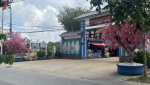 Thửa 127 Tờ 19 Xuân Thới Đông 3803 Đất 42.5 110 75 tỷ Xuân Thới Đông Hóc Môn 50 đến 100