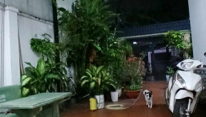129/4 ( Lê Lợi ) ( Thửa 513 tờ 50 ) Ấp Tân Thới 2 174 3 7.6 23 8.6 tỷ Tân Hiệp Hóc Môn 6 đến 10