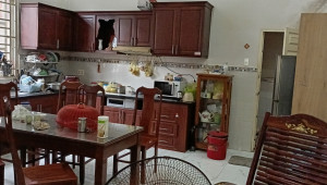 Thửa 357 tờ 9( mặt tiền Trịnh Thị Miếng)305/272.6 3 16.5 18.5 14 tỷ Thới Tam Thôn Hóc Môn 10 đến 20