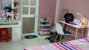 83/9/36 Thoại Ngọc Hầu 57 4 4 14.5 8.79 tỷ Hoà Thạnh Tân Phú 6 đến 10