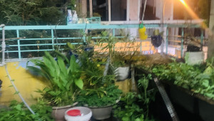 120+122+124+100/19+100/21 Cô Bắc 272/206 3 10 25 200 tỷ Cô Giang Quận 1 Trên 100