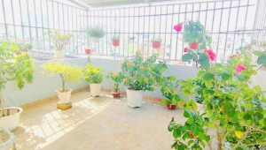 111 Trần Văn Đang 42 3 4.8/5.2 7.8 6.6 Tỷ Phường 9 Quận 3 6 đến 10