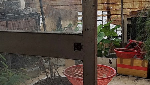 14 Bình Tây 90 4 4 22.5 18 Tỷ Phường 1 Quận 6 10 đến 20