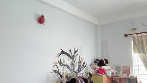 458/43 Huỳnh Tấn Phát 114/160 3 8 20 13.5 tỷ Bình Thuận Quận 7 10 đến 20