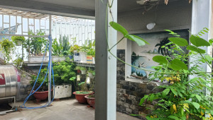 160/35 Nguyễn Văn Quỳ 140 3 7.5 18 22 tỷ Phú Thuận Quận 7 20 đến 50