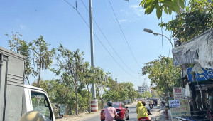 279 ( số cũ 61.1) Trần Xuân Soạn 88/126 4 4.5 30 11.5 tỷ Tân Kiểng Quận 7 10 đến 20