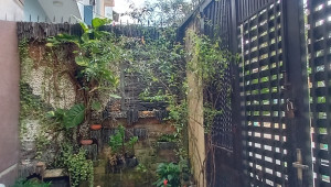 9 Đường 817 (Tạ Quang Bửu) 70 4 5 14 15 tỷ Phường 5 Quận 8 10 đến 20