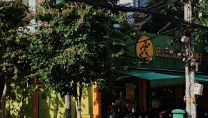 262A Bùi Minh Trực 225/154 4 6.15/8.8 32 25 tỷ Phường 6 Quận 8 20 đến 50