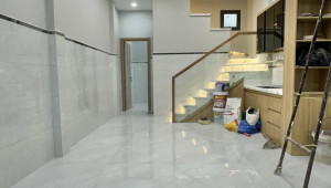 161D/106/35D Lạc Long Quân 40 2 4 10 4.8 tỷ Phường 3 Quận 11 3 đến 6